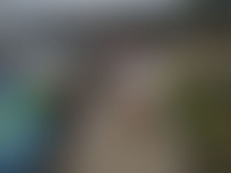 Road Sweepers in Cambridge