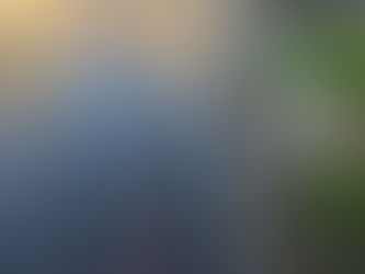 Road Sweepers Market Harborough