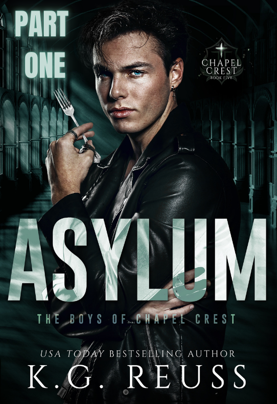 Asylum: Part ONE of TWO ebook