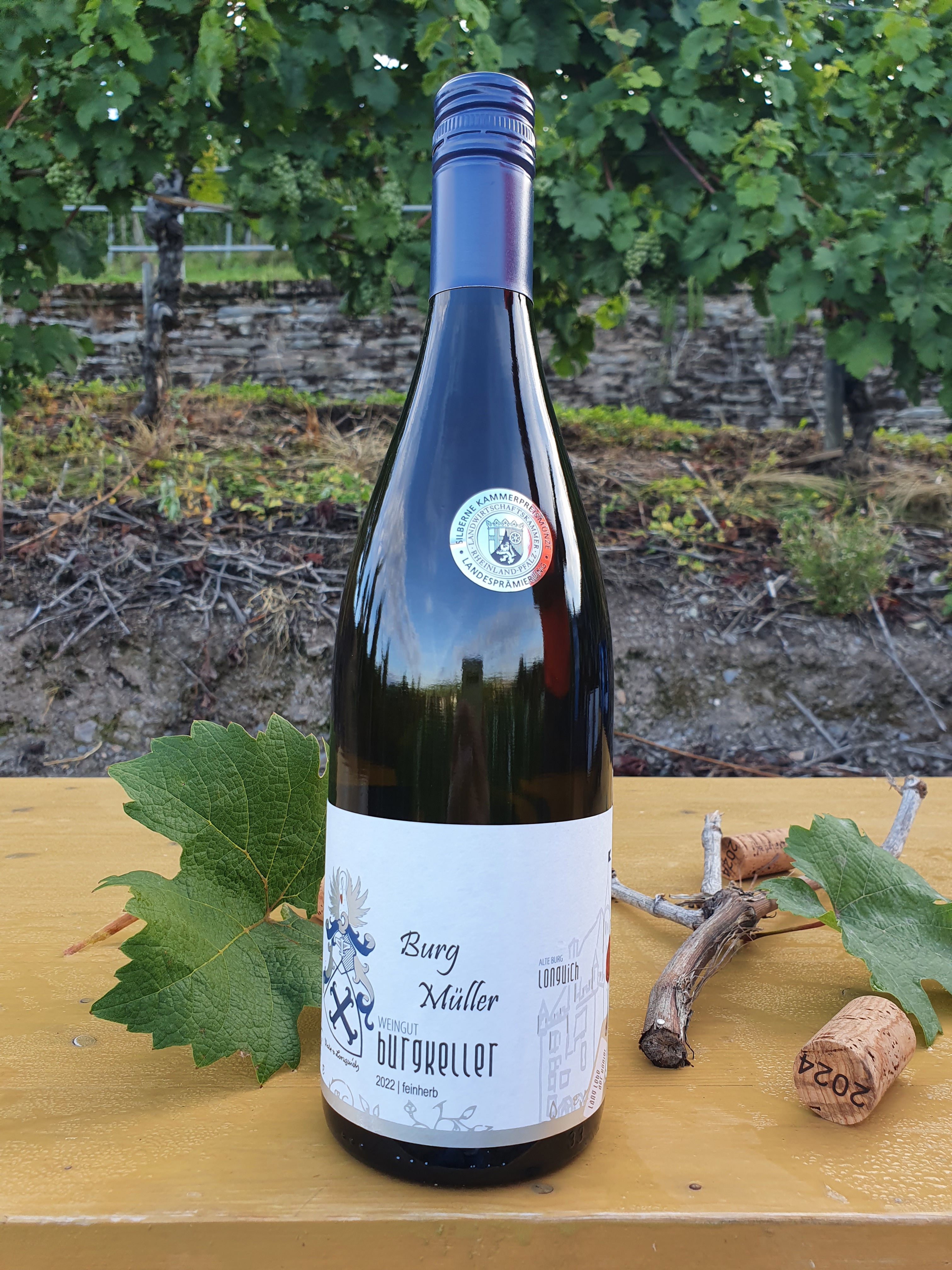 5 Burg Müller - Müller-Thurgau