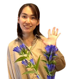 カイロプラクティックアシスタント