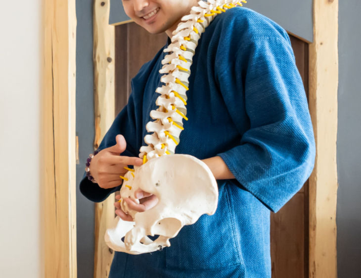 骨盤の歪みを示す骨格模型のクローズアップ