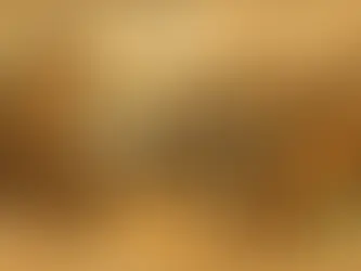 ייעוץ בקניית רכב חדש או משומש בלי הפתעות