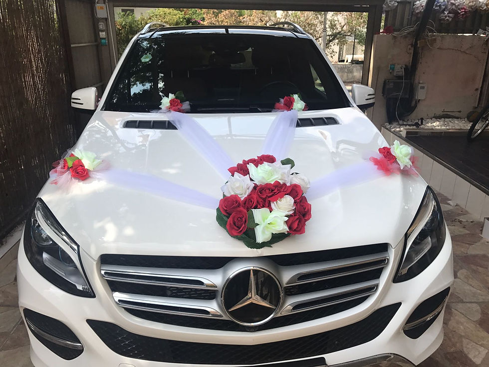תמונה ממוזערת: mercedes-gle-mehuvan-adom-lavan-lachatuna