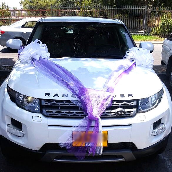 ₪קישוט מס'11 - 200