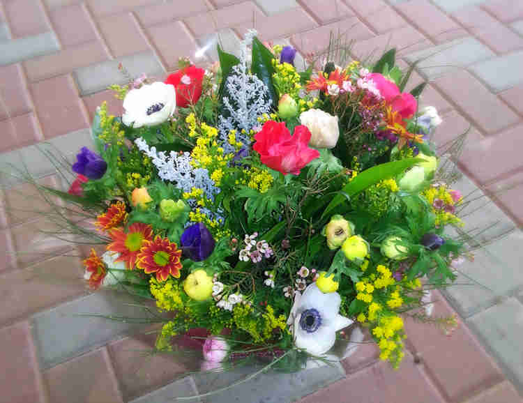 אין נכון לתת פרחים