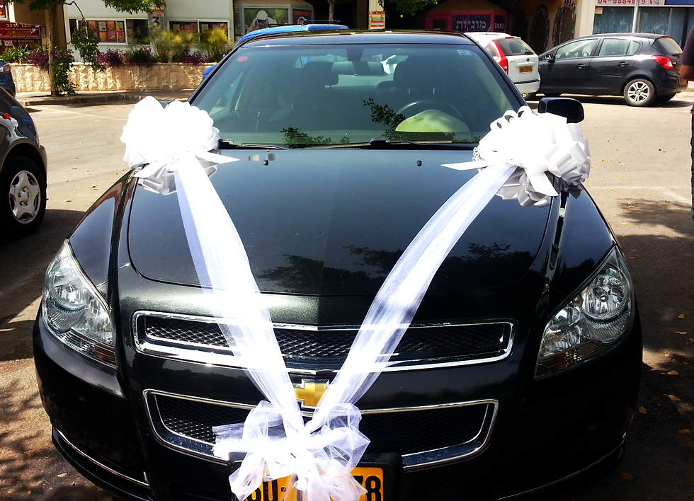 ₪קישוט מס'2 - 180