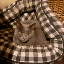 Sophie on her bed