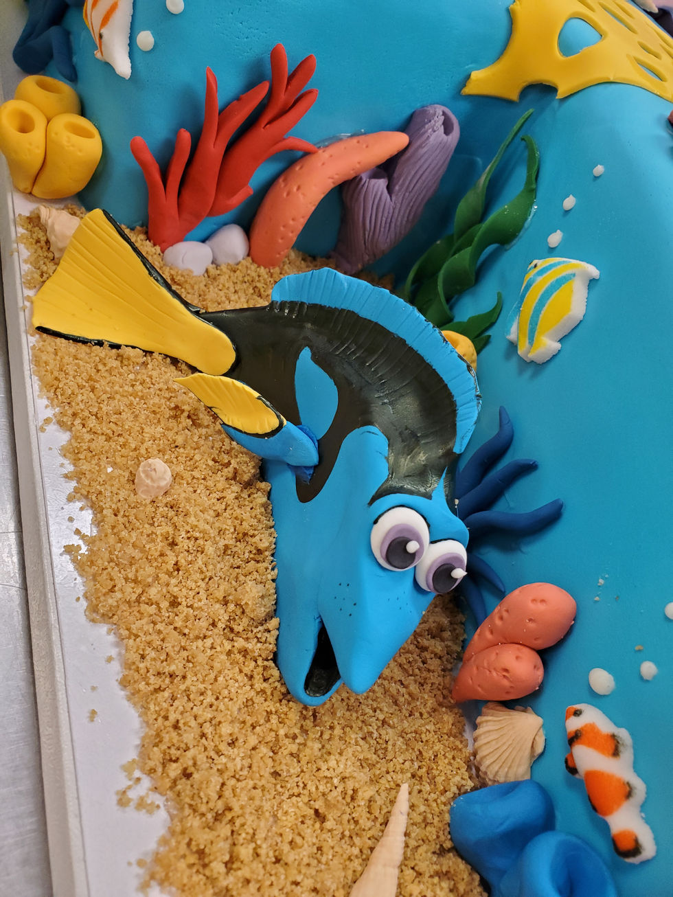 Finding Nemo71