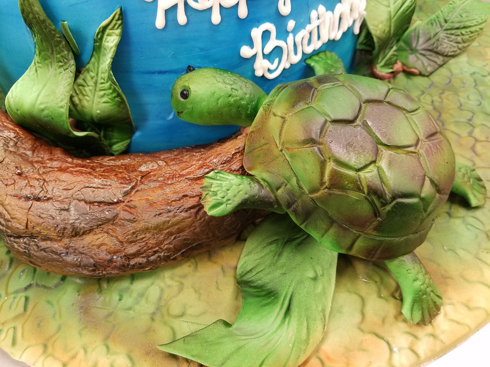 Fish Cake1
