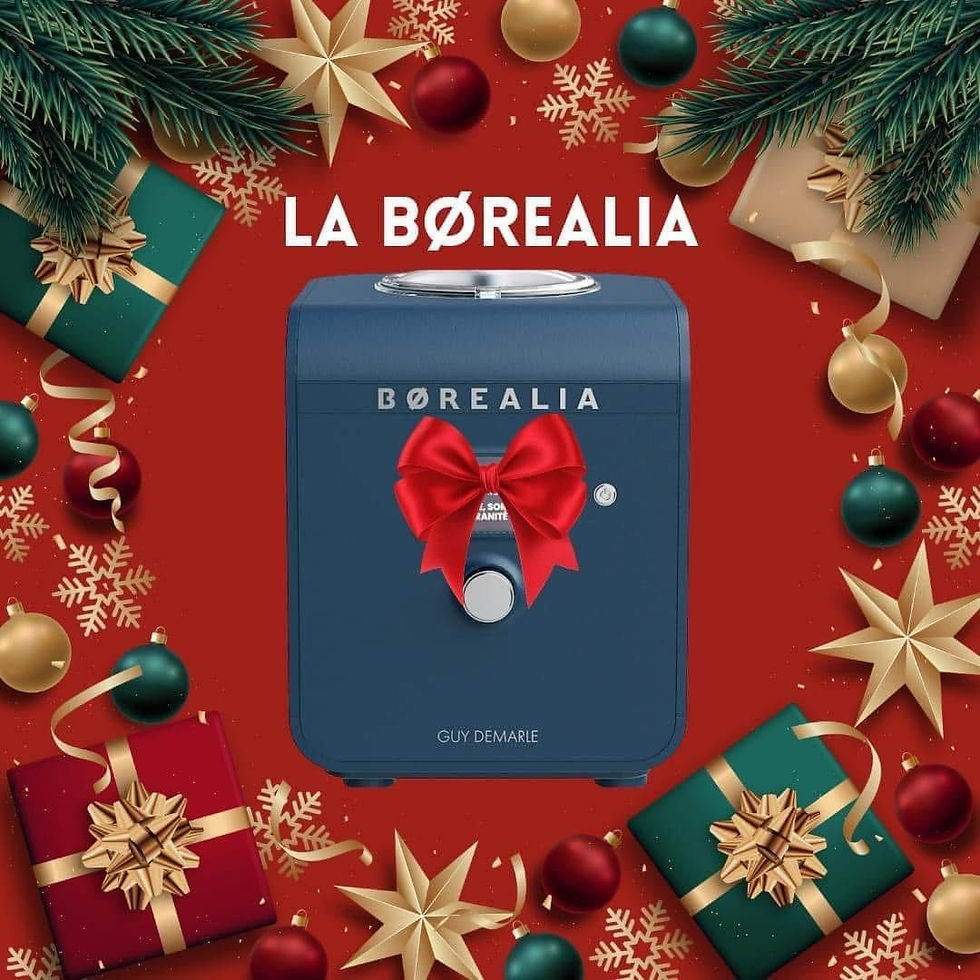 Turbine à glace/yaourtière Borealia : offres à partir de 79,90e/mois ou 799€