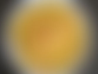 Tortis aux gambas, sauce safranée