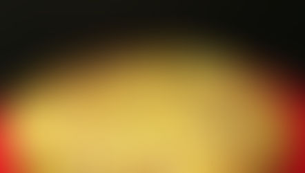 Quiche sans pâte poireaux/bacon