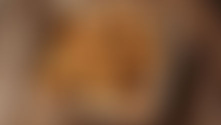 Petits pains blancs de table