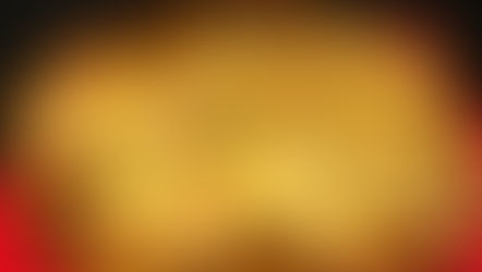 Tarte fine poireaux/bacon/maroilles