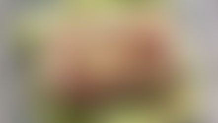 Flammekueche allégée