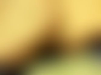 Petit déjeuner à 6 SP