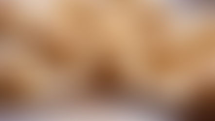 Roulés de saumon à la crème