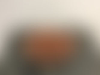 Crèmes desserts légères au chocolat