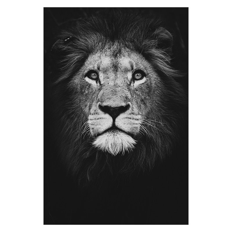 Thumbnail: Canvas Painting Animal Wall Art Lion Elephant Deer Zebra