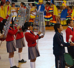 BANDA COLEGIO PIO ALBERTO FERRO P