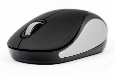 Mouse Naceb Technology