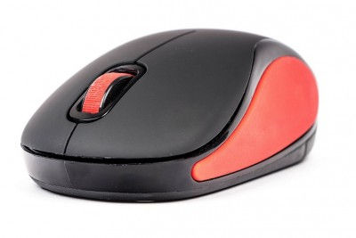Mouse Naceb Technology