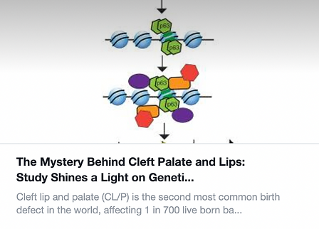 Screenshot 2024-04-20 at 10.22.14 AM.png