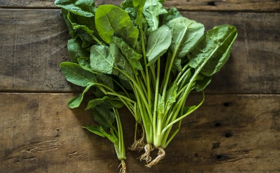 How to Identify Fresh Spinach