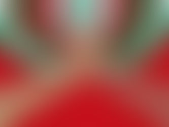 Printemps des femmes et de la solidarité : 5e édition !