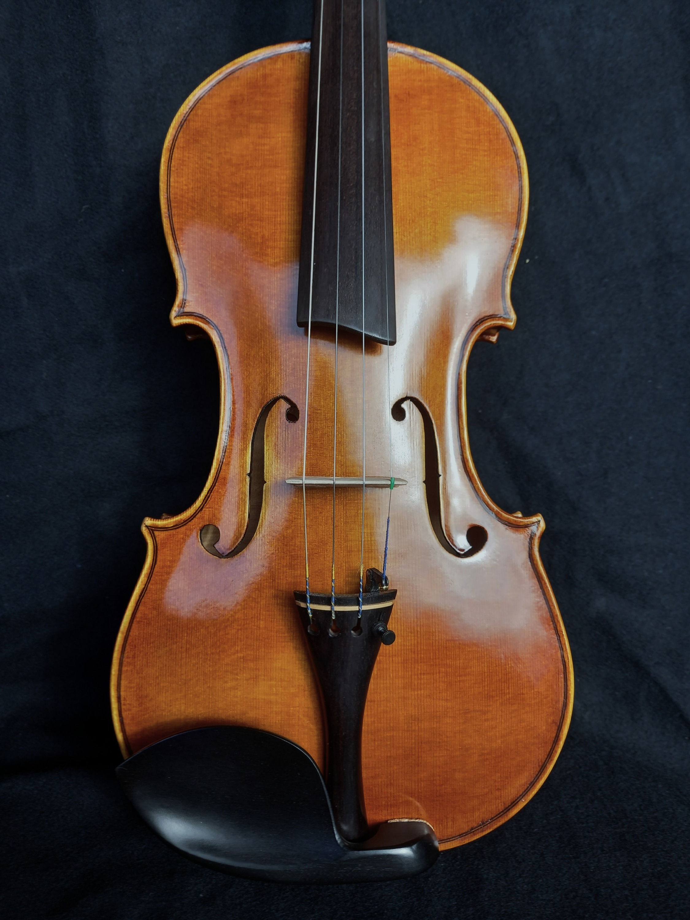 Scottish Violin by D Sutherland 2023