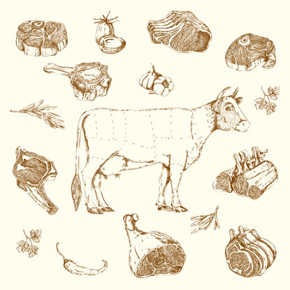 Consumo animal