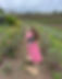 IMG_0EECF291A4B1-1.jpeg