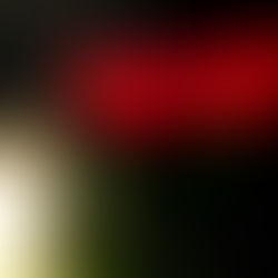 Skanger. Condolences