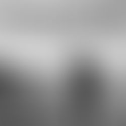 Chris Stapleton's "Traveller"