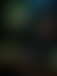 Palmer Lee Release Show w/ Baylor Wilson