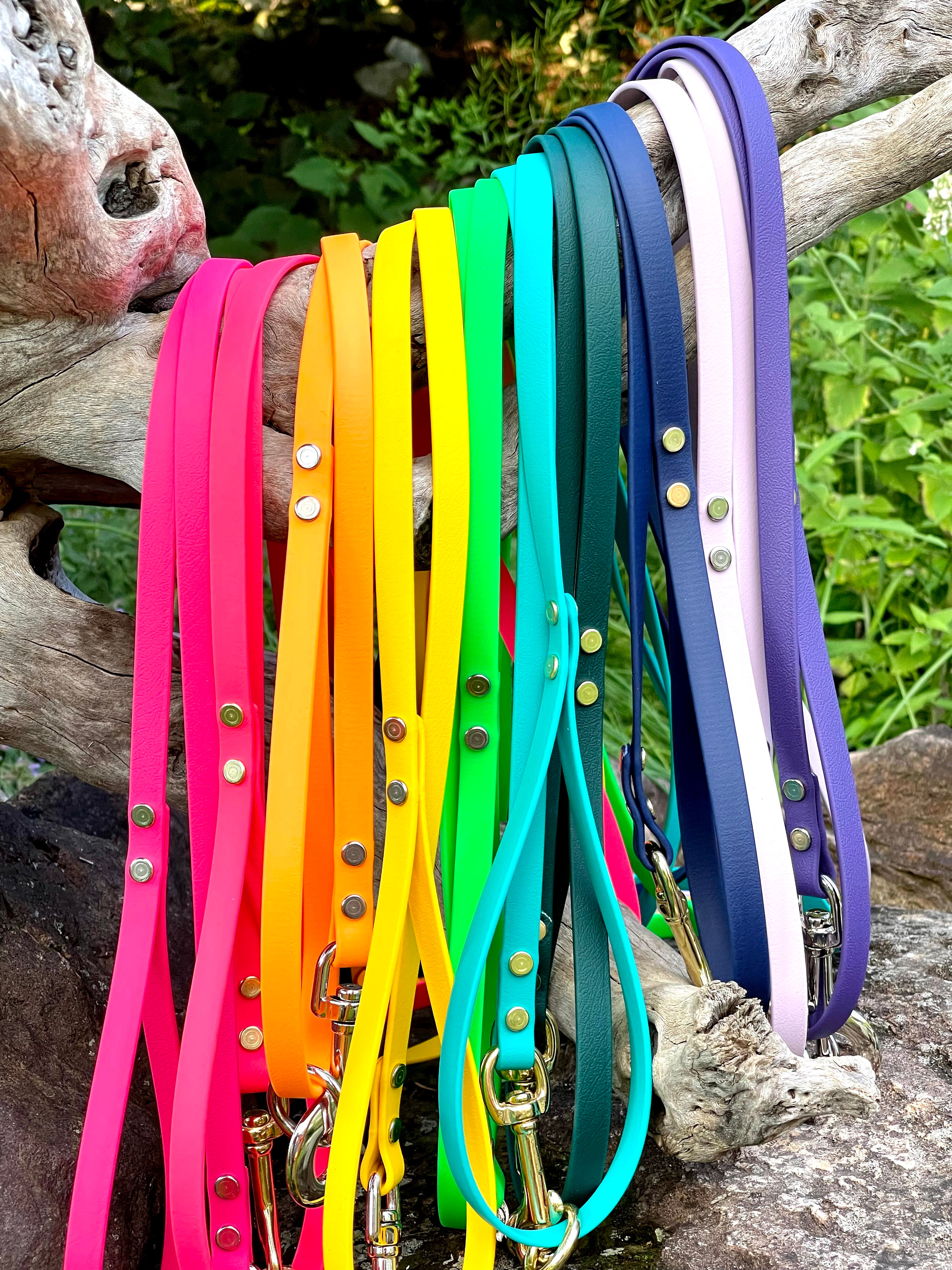 6' Trail Leash (1/2" wide)