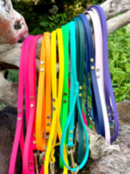 6' Trail Leash (1/2" wide)