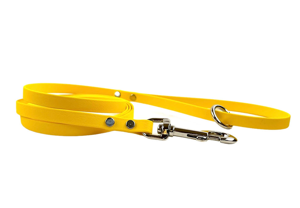 Thumbnail: 6' Trail Leash (1/2" wide)