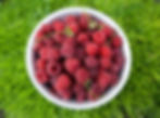 Here are collected images from shooting menus, interior and exterior advertising of grocery stores