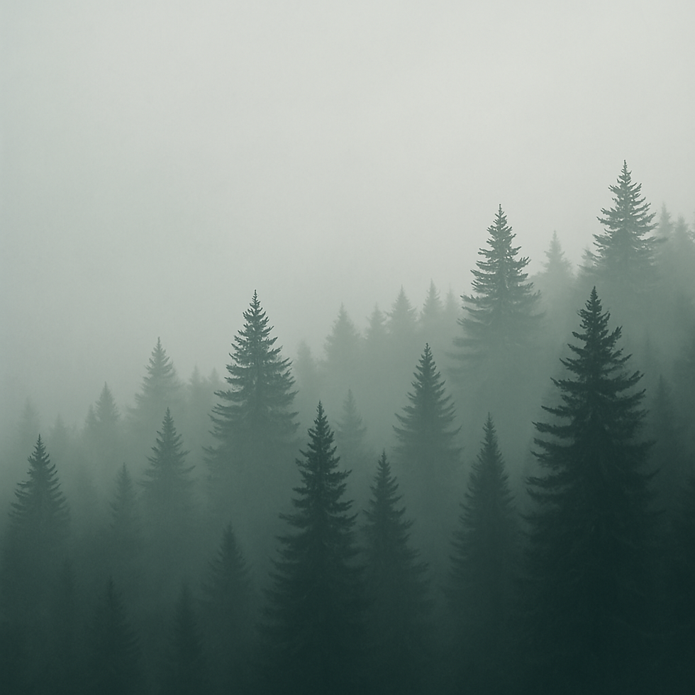 468e4ccb-422b-4b80-9931-ca7497e77e2b.png