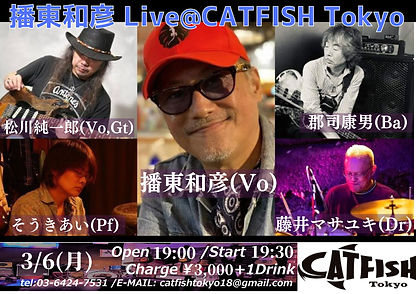 播東和彦 Live_CATFISH Tokyo (4).jpg