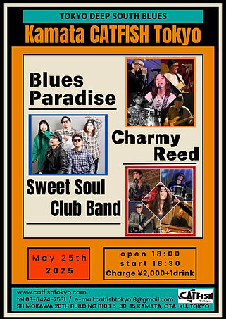 Catfish Flyer テンプレート.jpg