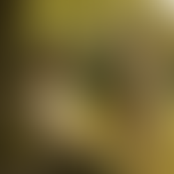 Episodio 2 — Amar sin cargar. El arte de poner límites en la familia