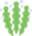 unnamed (2).png