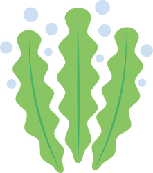 unnamed (2).png