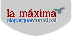 logolamaximanuevo.jpg