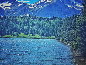 Reshaping Our Brains One Mindful Moment at a Time