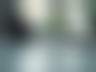 Boost Executive Success with Executive Mindset Development