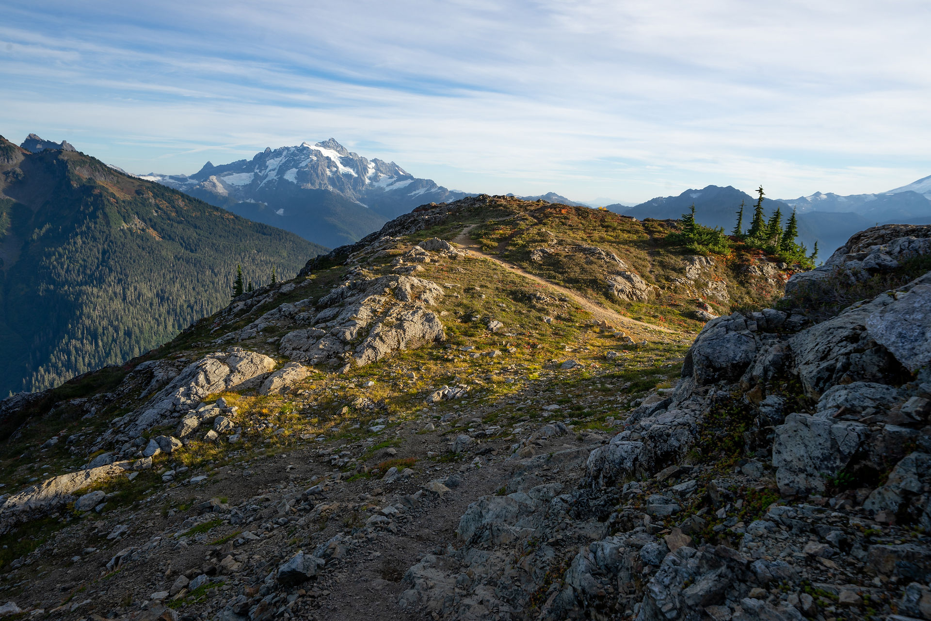 Yellow Aster Butte Trail